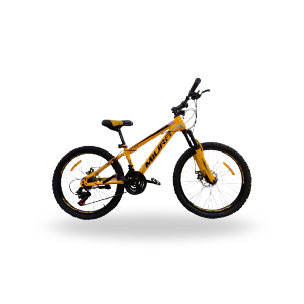 BICICLETA MI-100 - Imagen 3
