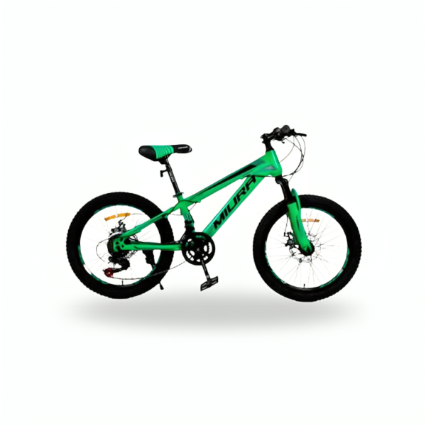 BICICLETA MI-50